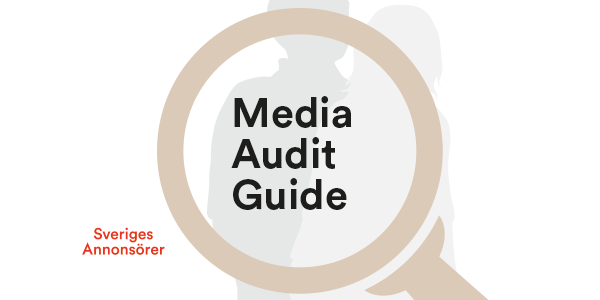 Media Audit Guide