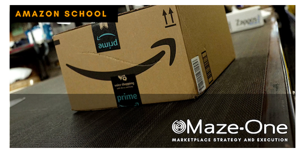 Amazonskolan
