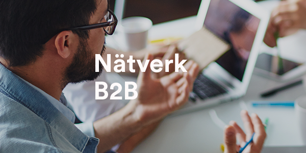 Nätverk B2B